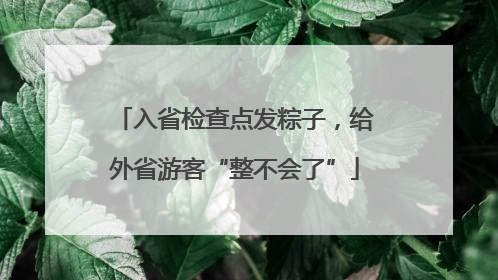 入省检查点发粽子，给外省游客“整不会了”
