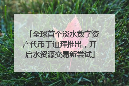 全球首个淡水数字资产代币于迪拜推出，开启水资源交易新尝试