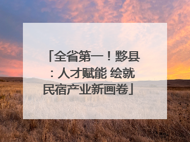 全省第一！黟县：人才赋能 绘就民宿产业新画卷