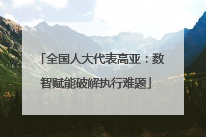 全国人大代表高亚：数智赋能破解执行难题