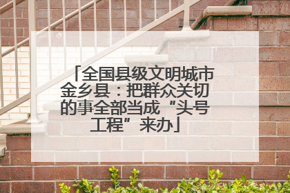 全国县级文明城市金乡县：把群众关切的事全部当成“头号工程”来办