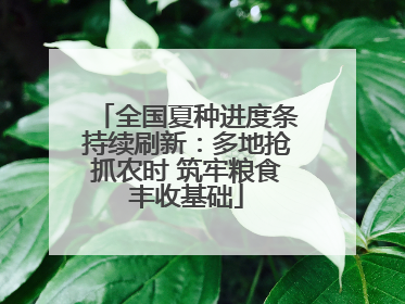全国夏种进度条持续刷新：多地抢抓农时 筑牢粮食丰收基础
