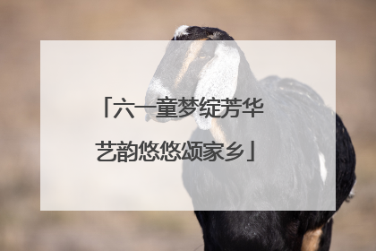 六一童梦绽芳华 艺韵悠悠颂家乡