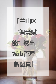 兰山区“智慧赋能”绣出城市管理新图景