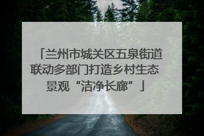 兰州市城关区五泉街道联动多部门打造乡村生态景观“洁净长廊”