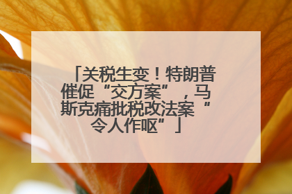 关税生变！特朗普催促“交方案”，马斯克痛批税改法案“令人作呕”