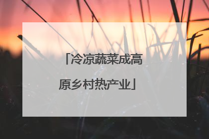 冷凉蔬菜成高原乡村热产业