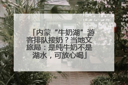 内蒙“牛奶湖”游客排队接奶？当地文旅局：是纯牛奶不是湖水，可放心喝