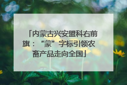 内蒙古兴安盟科右前旗：“蒙”字标引领农畜产品走向全国