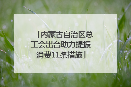 内蒙古自治区总工会出台助力提振消费11条措施