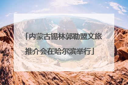 内蒙古锡林郭勒盟文旅推介会在哈尔滨举行