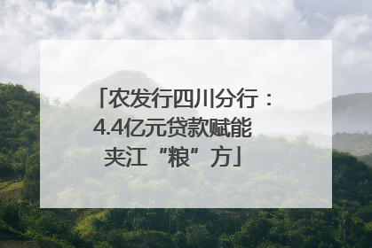 农发行四川分行：4.4亿元贷款赋能夹江“粮”方