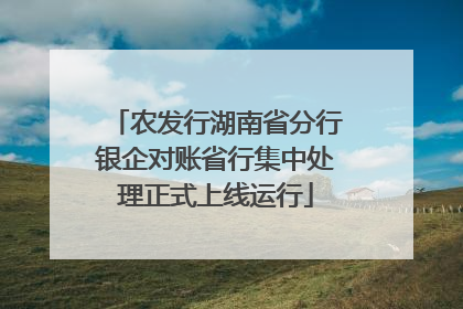 农发行湖南省分行银企对账省行集中处理正式上线运行