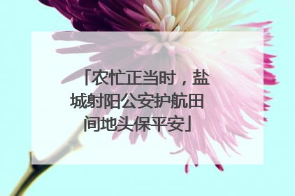 农忙正当时，盐城射阳公安护航田间地头保平安