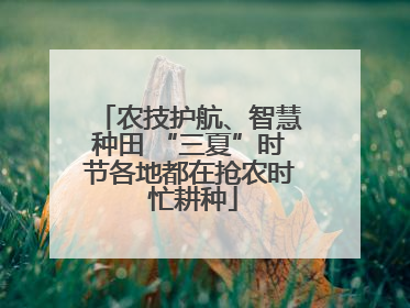 农技护航、智慧种田 “三夏”时节各地都在抢农时 忙耕种