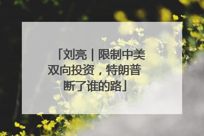 刘亮｜限制中美双向投资，特朗普断了谁的路