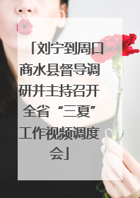 刘宁到周口商水县督导调研并主持召开全省“三夏”工作视频调度会