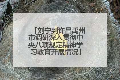 刘宁到许昌禹州市调研深入贯彻中央八项规定精神学习教育开展情况
