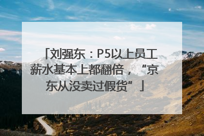 刘强东：P5以上员工薪水基本上都翻倍，“京东从没卖过假货”