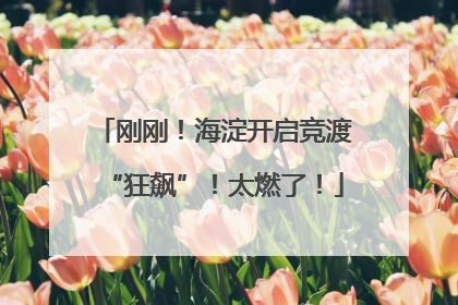刚刚！海淀开启竞渡“狂飙”！太燃了！