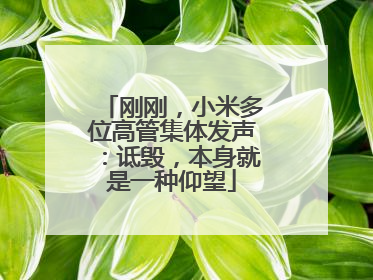 刚刚，小米多位高管集体发声：诋毁，本身就是一种仰望
