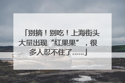 别摘！别吃！上海街头大量出现“红果果”，很多人忍不住了……