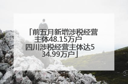 前五月新增涉税经营主体48.15万户 四川涉税经营主体达534.99万户