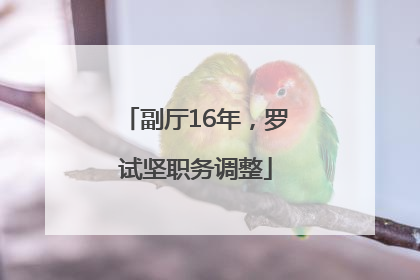 副厅16年，罗试坚职务调整