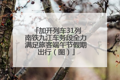加开列车31列 南铁九江车务段全力满足旅客端午节假期出行（图）