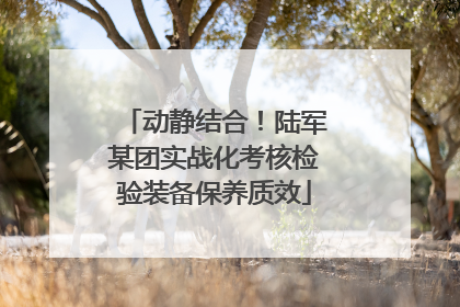 动静结合！陆军某团实战化考核检验装备保养质效
