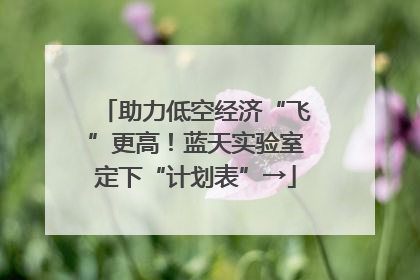 助力低空经济“飞”更高！蓝天实验室定下“计划表”→