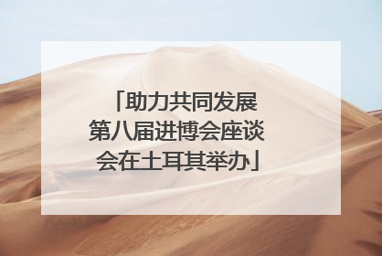 助力共同发展 第八届进博会座谈会在土耳其举办