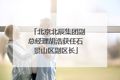 北京北辰集团副总经理胡浩获任石景山区副区长