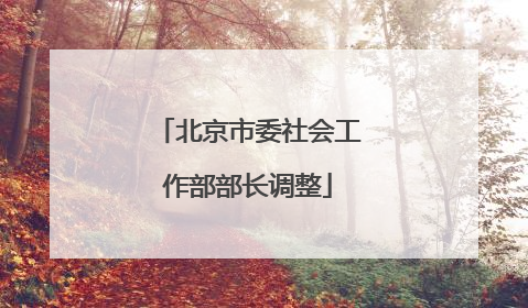 北京市委社会工作部部长调整
