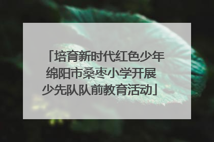培育新时代红色少年 绵阳市桑枣小学开展少先队队前教育活动