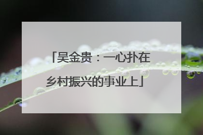 吴金贵：一心扑在乡村振兴的事业上