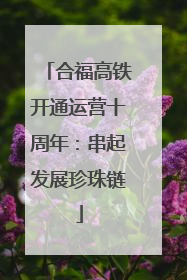 合福高铁开通运营十周年：串起发展珍珠链