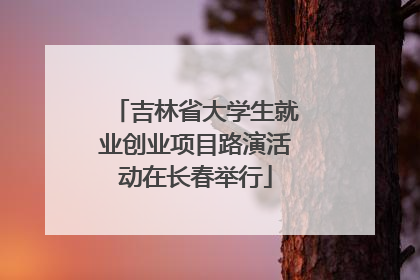 吉林省大学生就业创业项目路演活动在长春举行