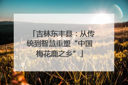 吉林东丰县：从传统到智慧重塑“中国梅花鹿之乡”
