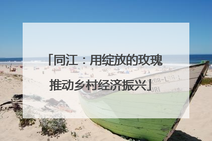 同江：用绽放的玫瑰 推动乡村经济振兴