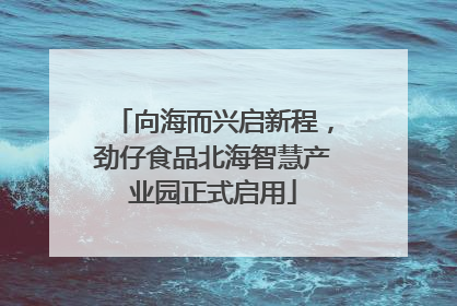向海而兴启新程，劲仔食品北海智慧产业园正式启用
