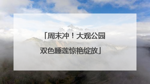 周末冲！大观公园双色睡莲惊艳绽放