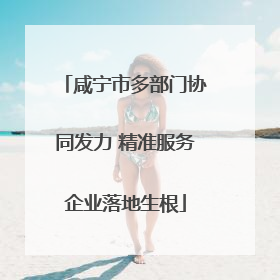 咸宁市多部门协同发力 精准服务企业落地生根