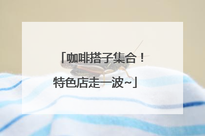 咖啡搭子集合！特色店走一波~