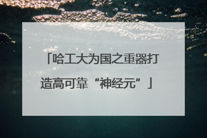 哈工大为国之重器打造高可靠“神经元”