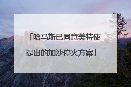 哈马斯已同意美特使提出的加沙停火方案