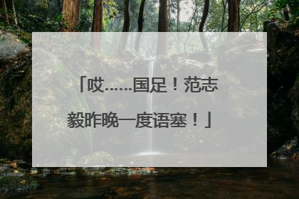 哎……国足！范志毅昨晚一度语塞！