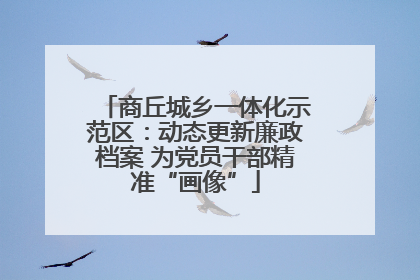 商丘城乡一体化示范区：动态更新廉政档案 为党员干部精准“画像”