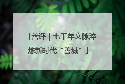 善评｜七千年文脉淬炼新时代“善城”
