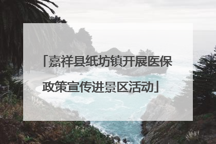 嘉祥县纸坊镇开展医保政策宣传进景区活动